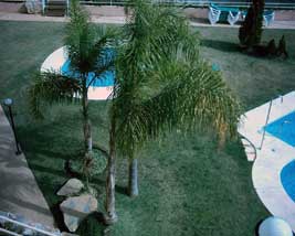 Gardens