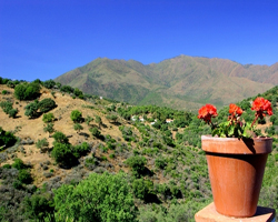 View from Villa