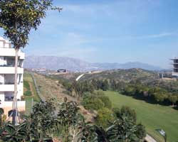 View from Apartment